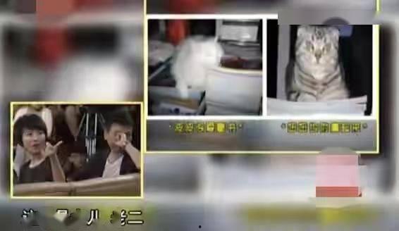 汉中主播爆料案件视频曝光,案情细节引发社会关注  第2张